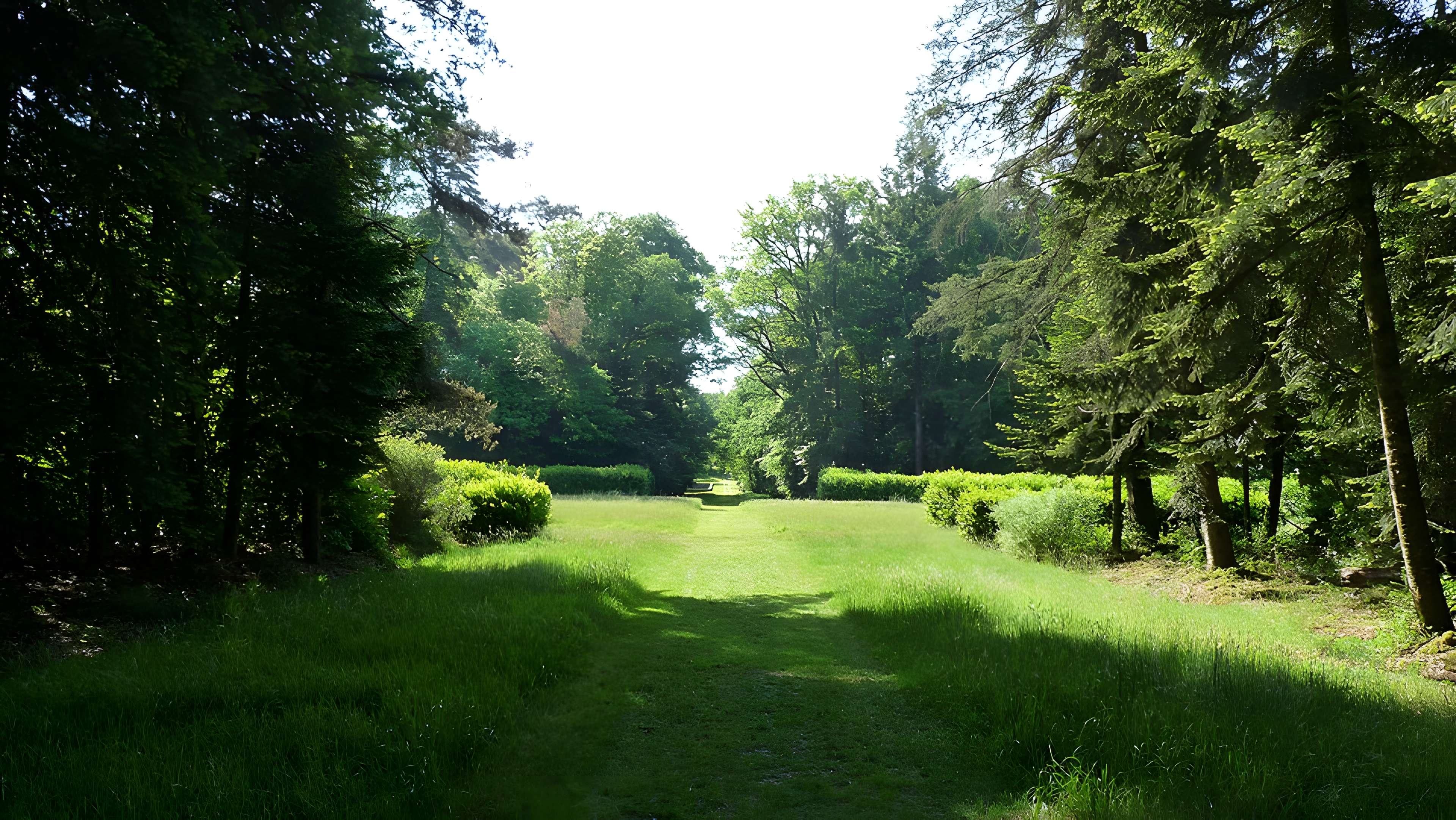 Château du Bois-Cornillé
