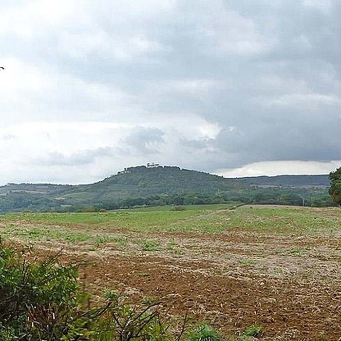 Photo de Basilique Sainte-Marie-Madeleine de Vézelay