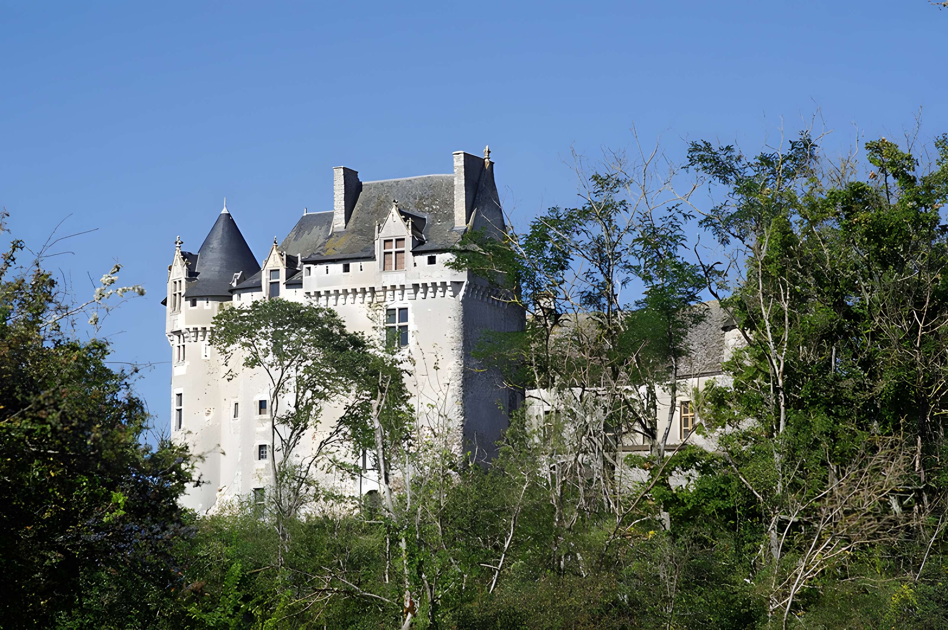 Château du Bouchet à Rosnay
