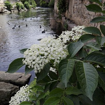 Pont Saint-Martin de Vienne