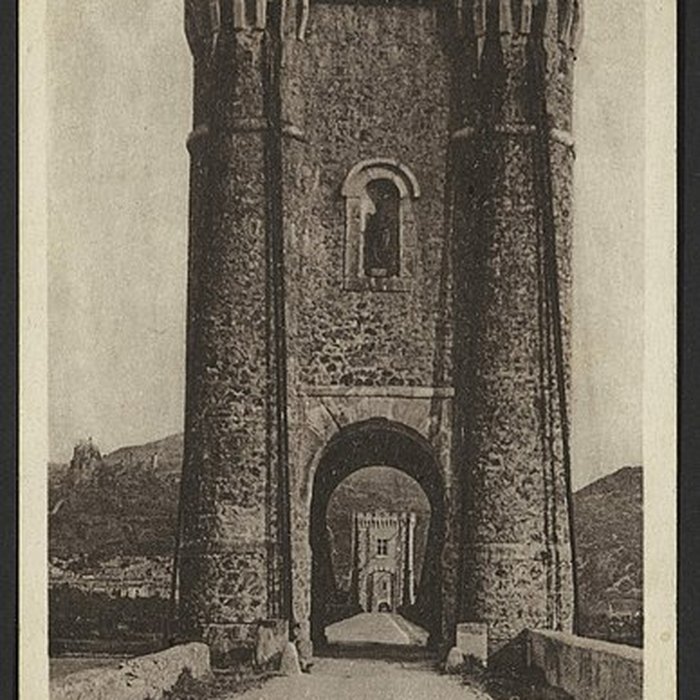 Photo de Pont sur le Rhône de Rochemaure