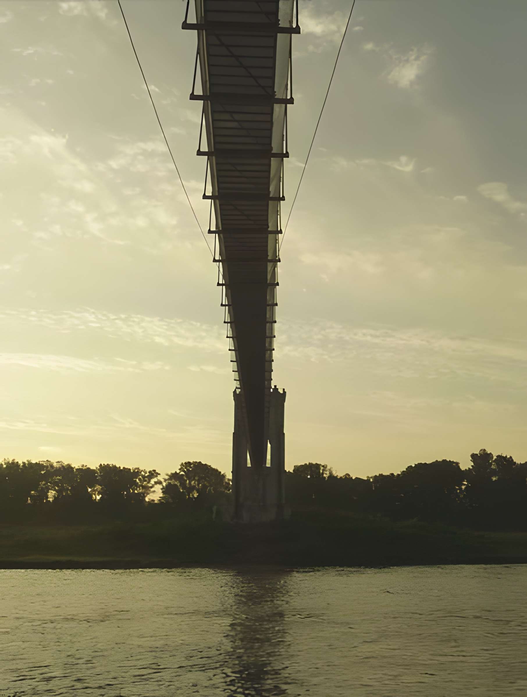 Pont sur le Rhône de Rochemaure