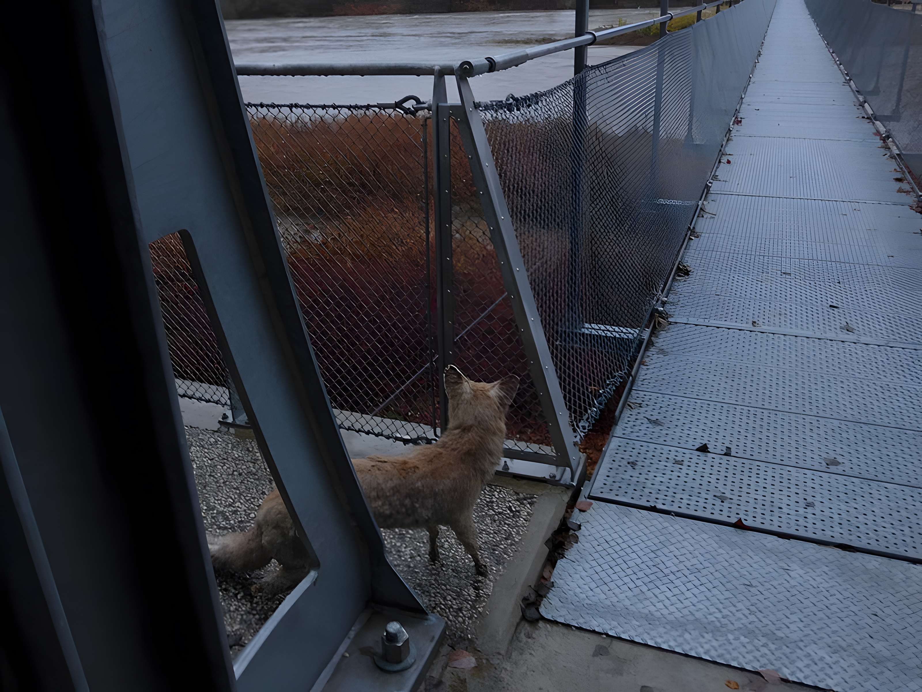 Pont sur le Rhône de Rochemaure