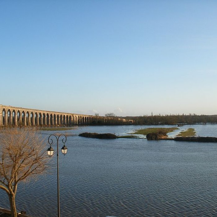 Photo de Pont suspendu de Tonnay-Charente