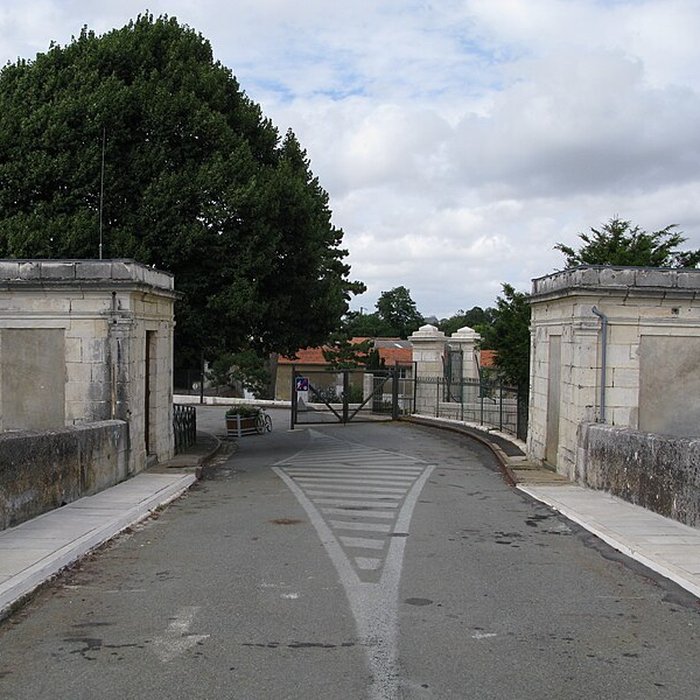 Photo de Pont suspendu de Tonnay-Charente