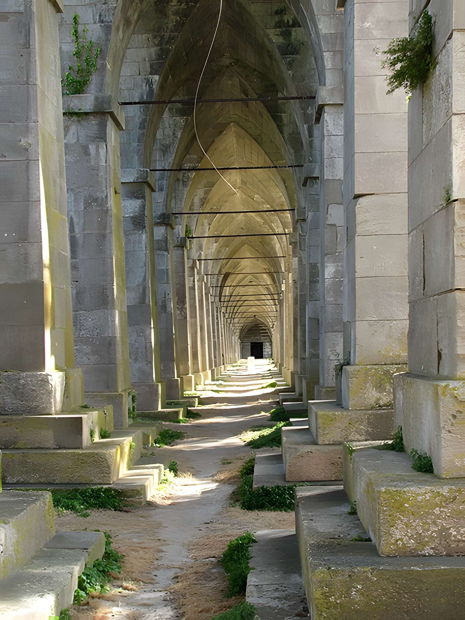 Pont suspendu de Tonnay-Charente