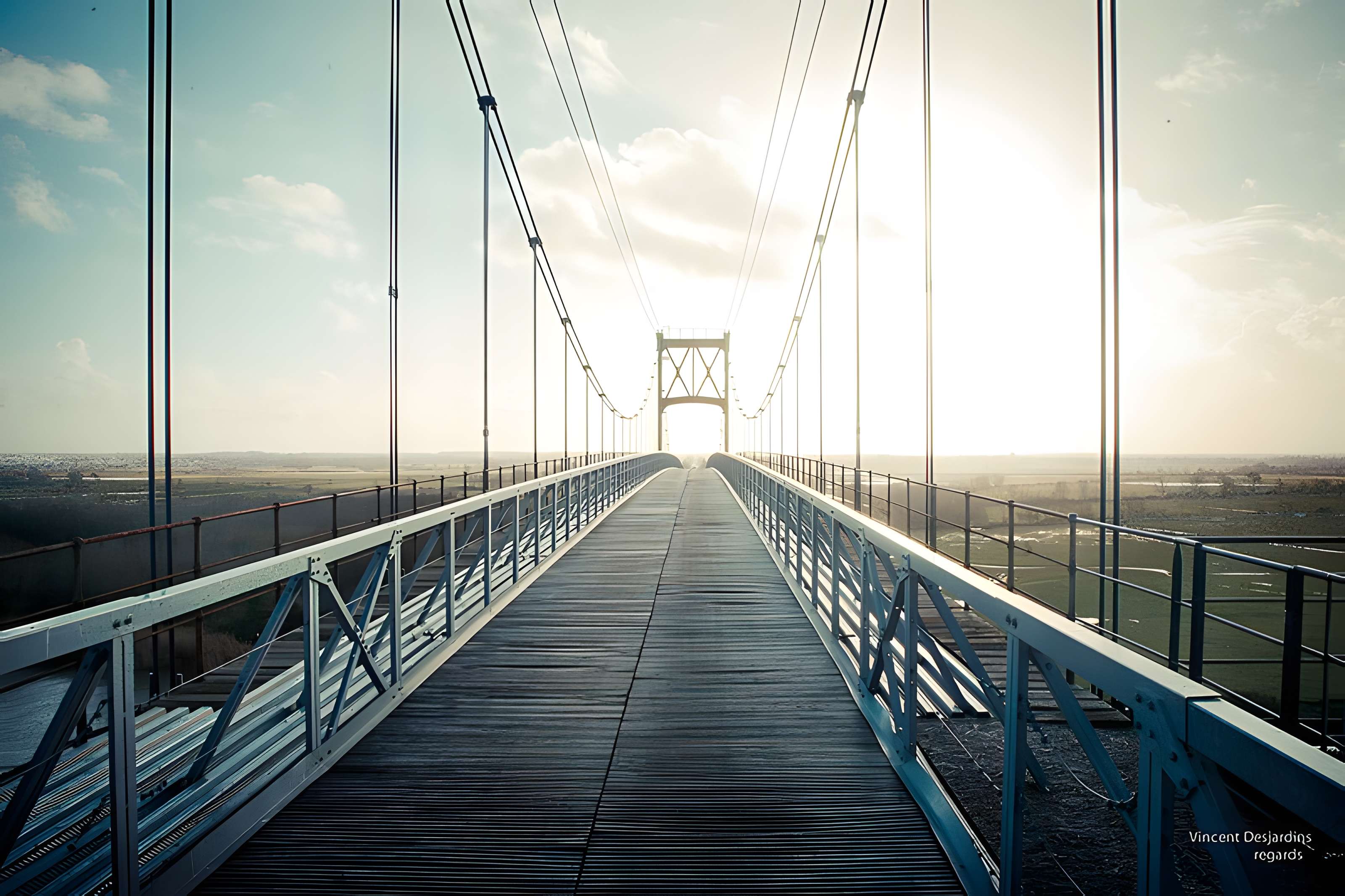 Pont suspendu de Tonnay-Charente