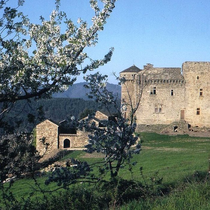 Photo de Château du Chaylard