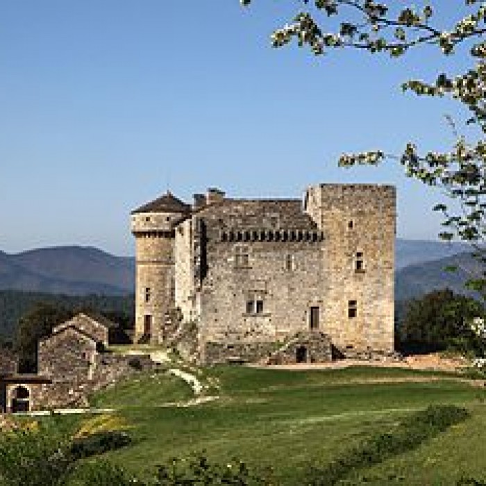 Photo de Château du Chaylard