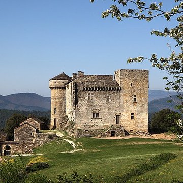 Château du Chaylard