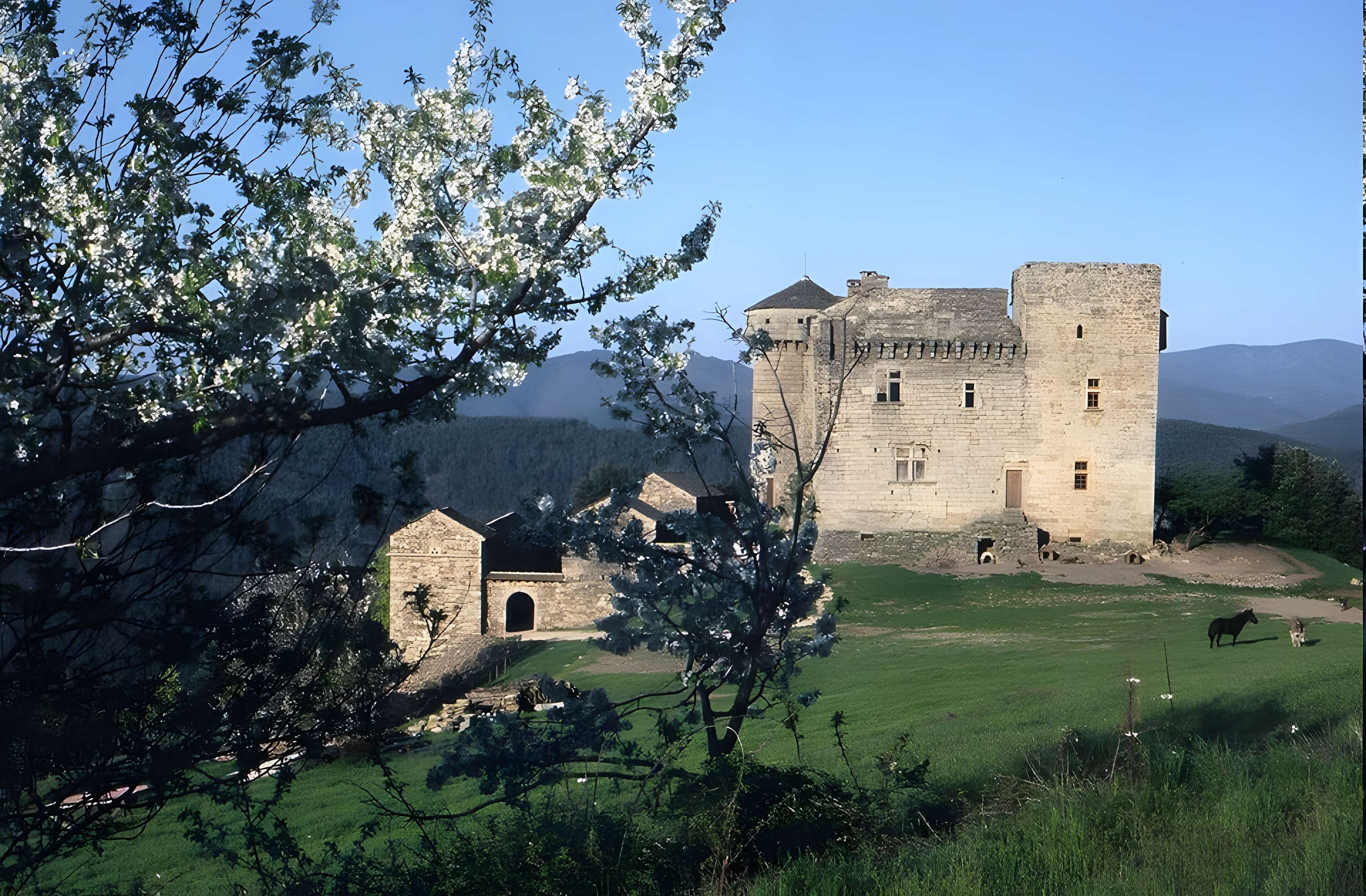 Château du Chaylard