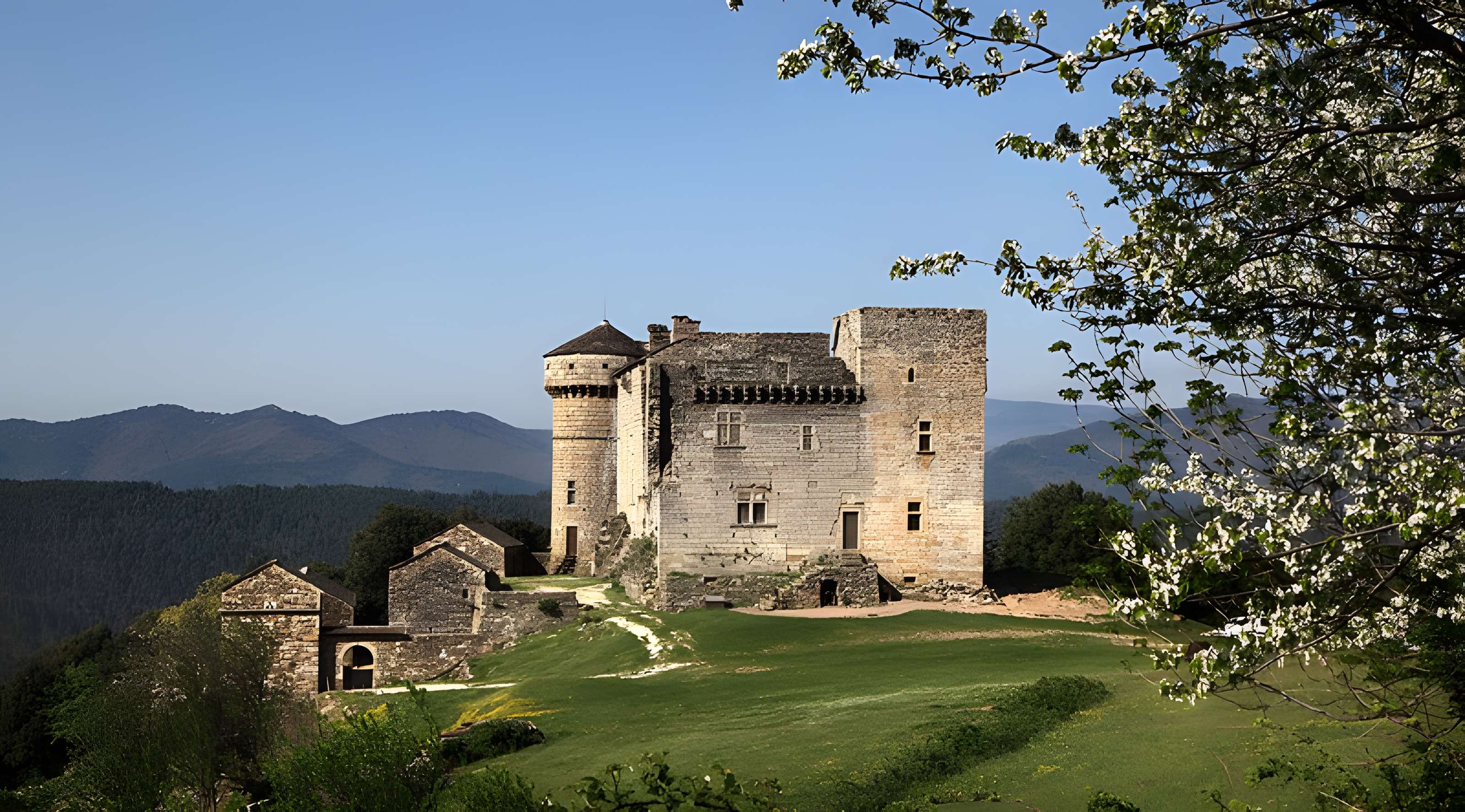 Château du Chaylard