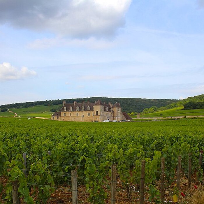 Photo de Château du Clos de Vougeot