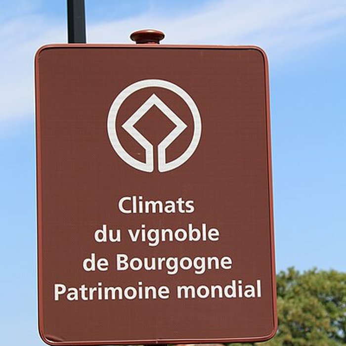 Photo de Château du Clos de Vougeot