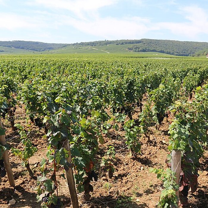 Photo de Château du Clos de Vougeot
