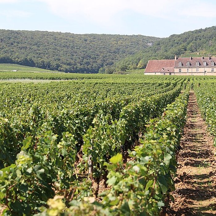 Photo de Château du Clos de Vougeot