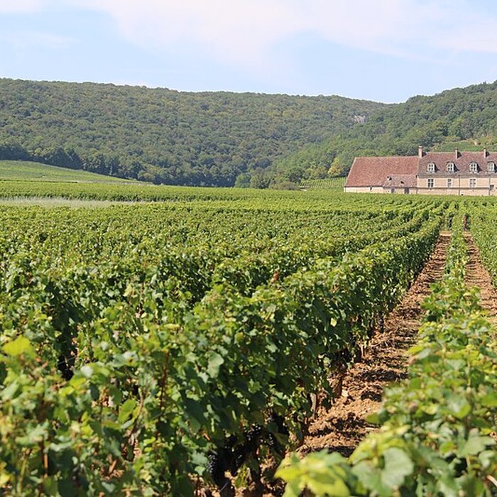 Photo de Château du Clos de Vougeot