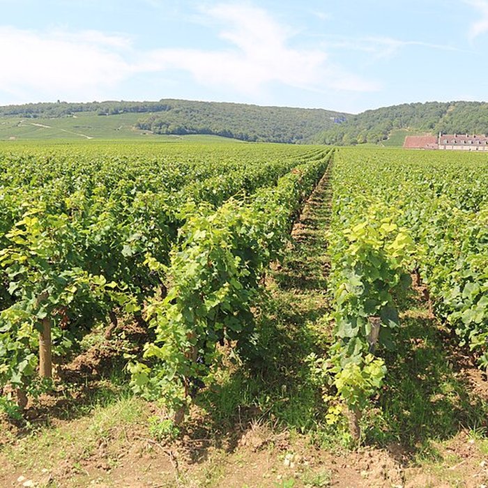 Photo de Château du Clos de Vougeot