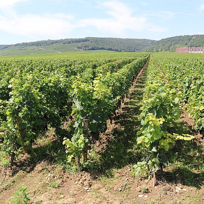Photo de Château du Clos de Vougeot