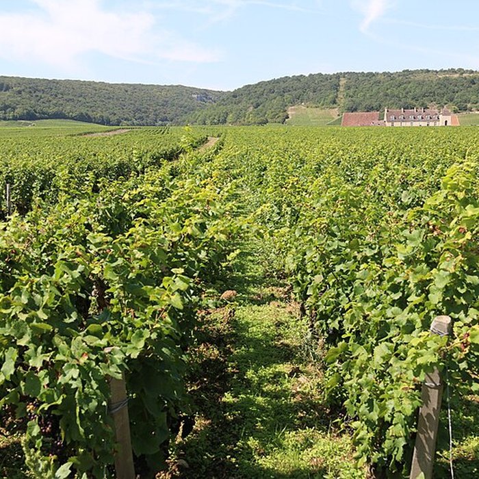 Photo de Château du Clos de Vougeot