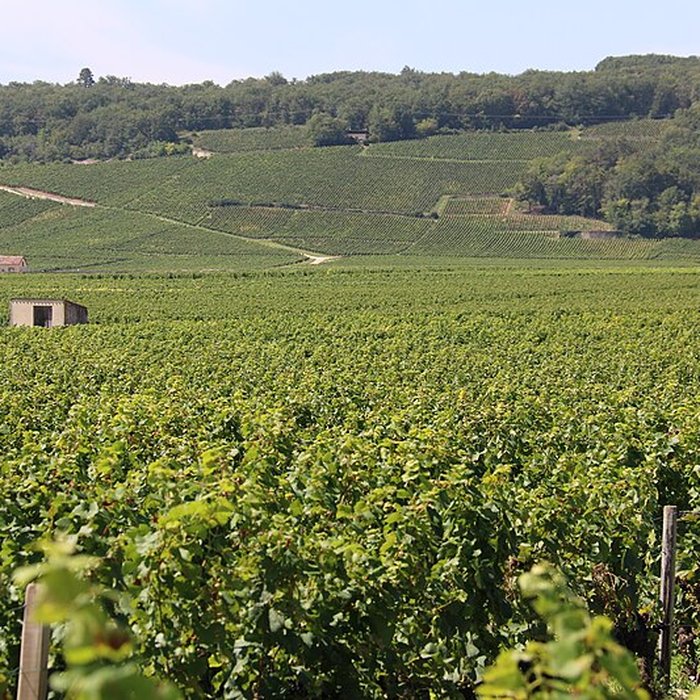 Photo de Château du Clos de Vougeot
