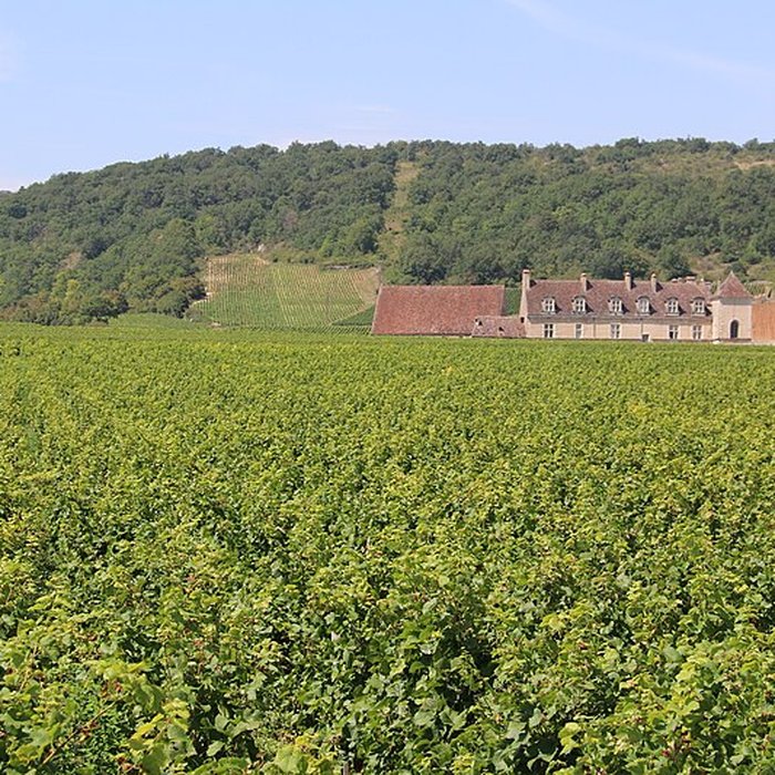 Photo de Château du Clos de Vougeot