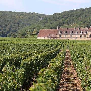 Château du Clos de Vougeot