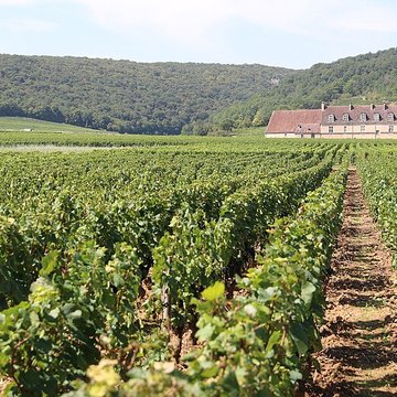 Château du Clos de Vougeot