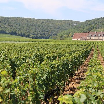 Château du Clos de Vougeot