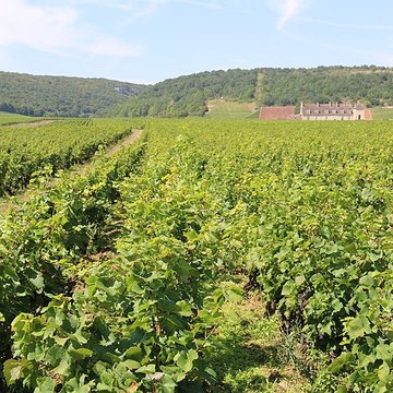 Château du Clos de Vougeot