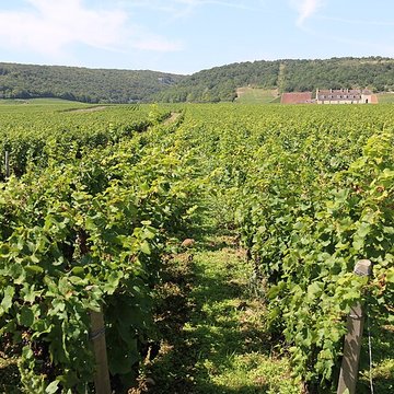 Château du Clos de Vougeot