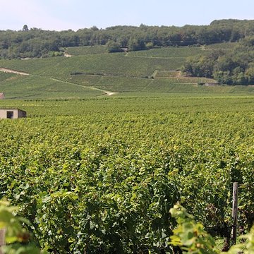 Château du Clos de Vougeot