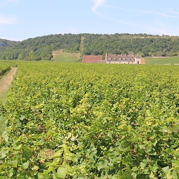 Château du Clos de Vougeot