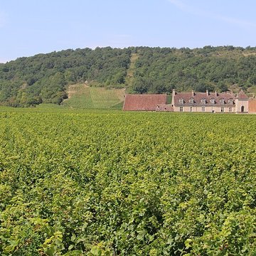 Château du Clos de Vougeot
