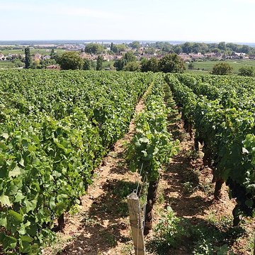 Château du Clos de Vougeot