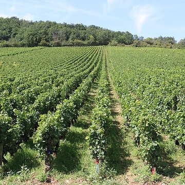Château du Clos de Vougeot