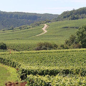 Château du Clos de Vougeot