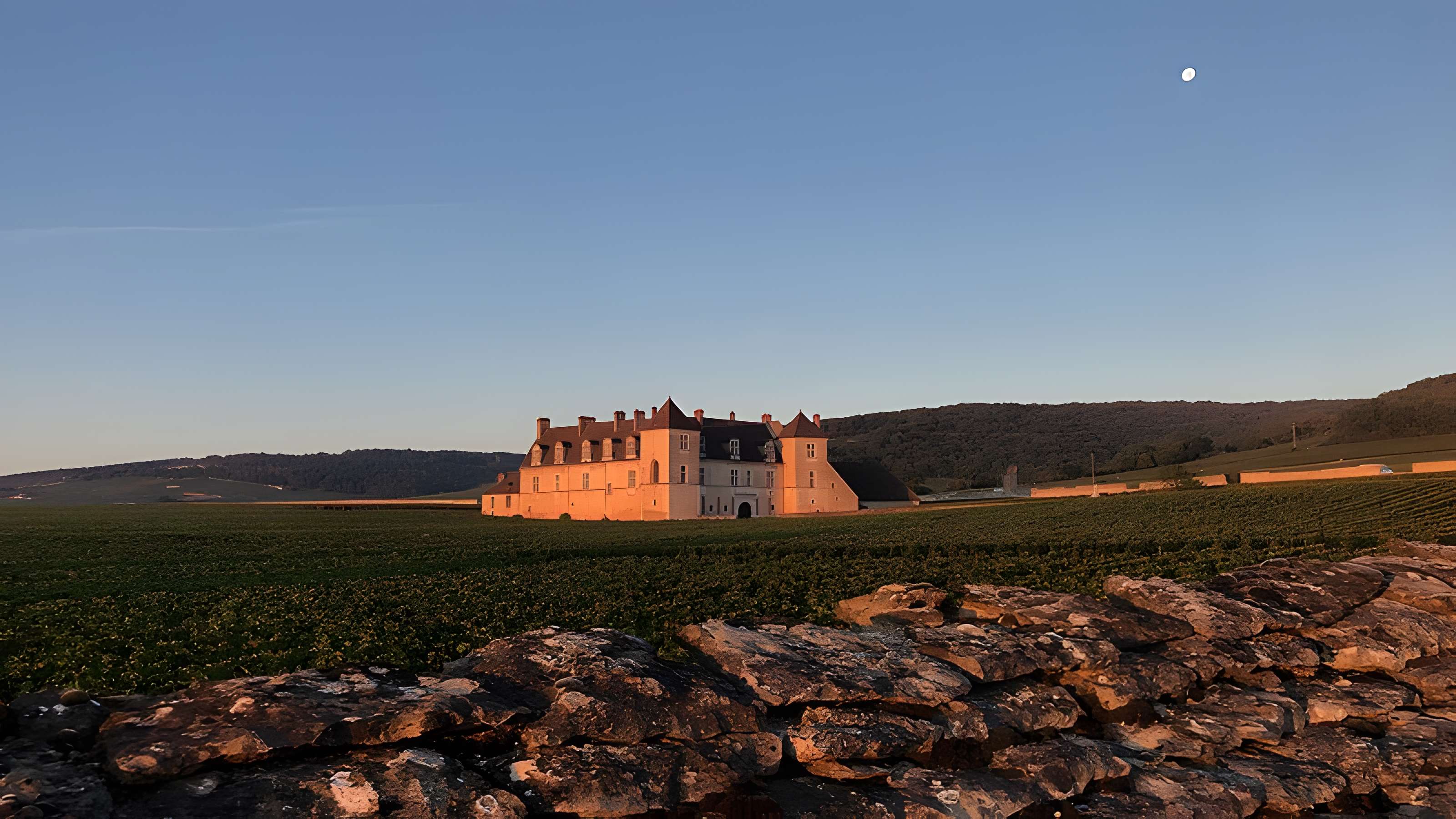 Château du Clos de Vougeot