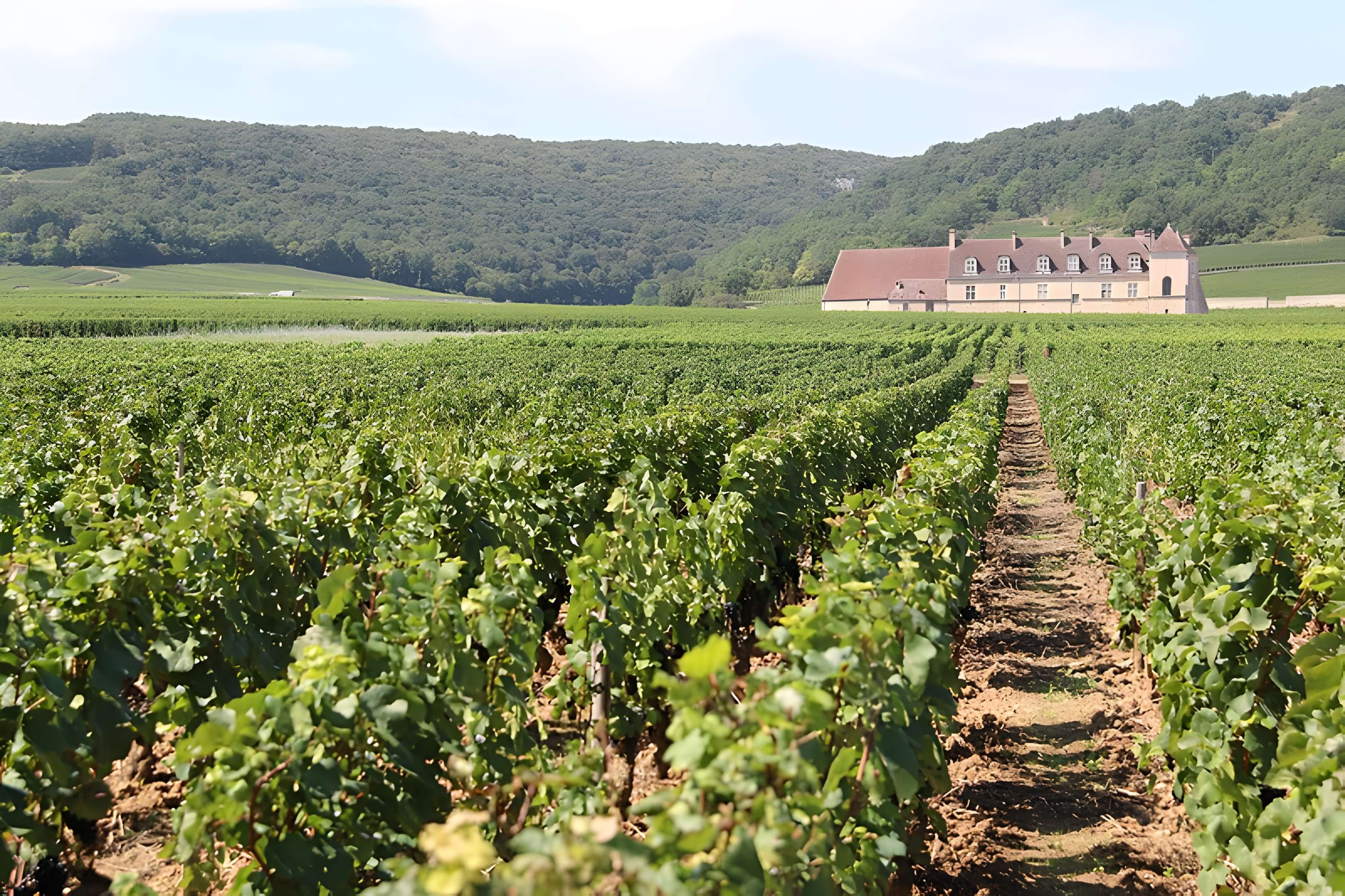 Château du Clos de Vougeot