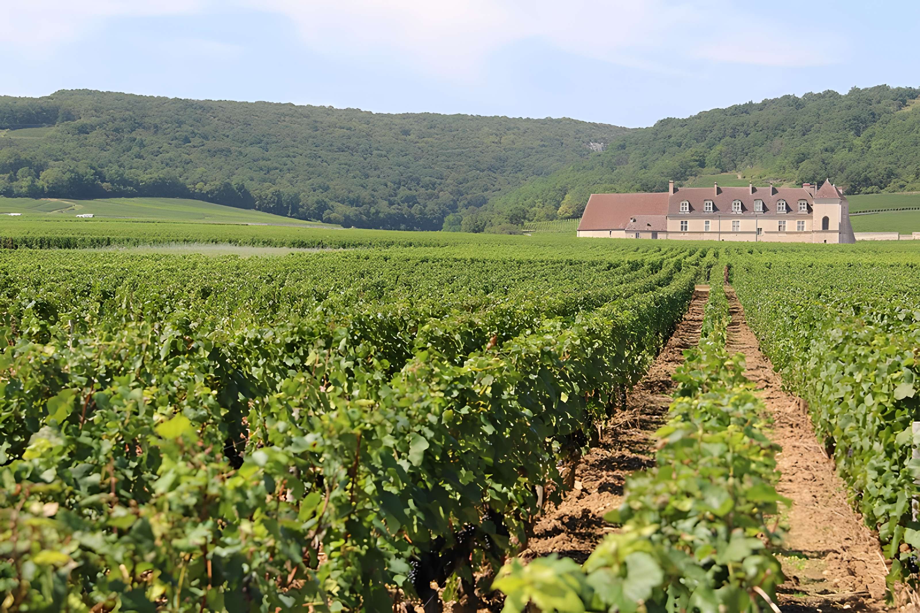Château du Clos de Vougeot