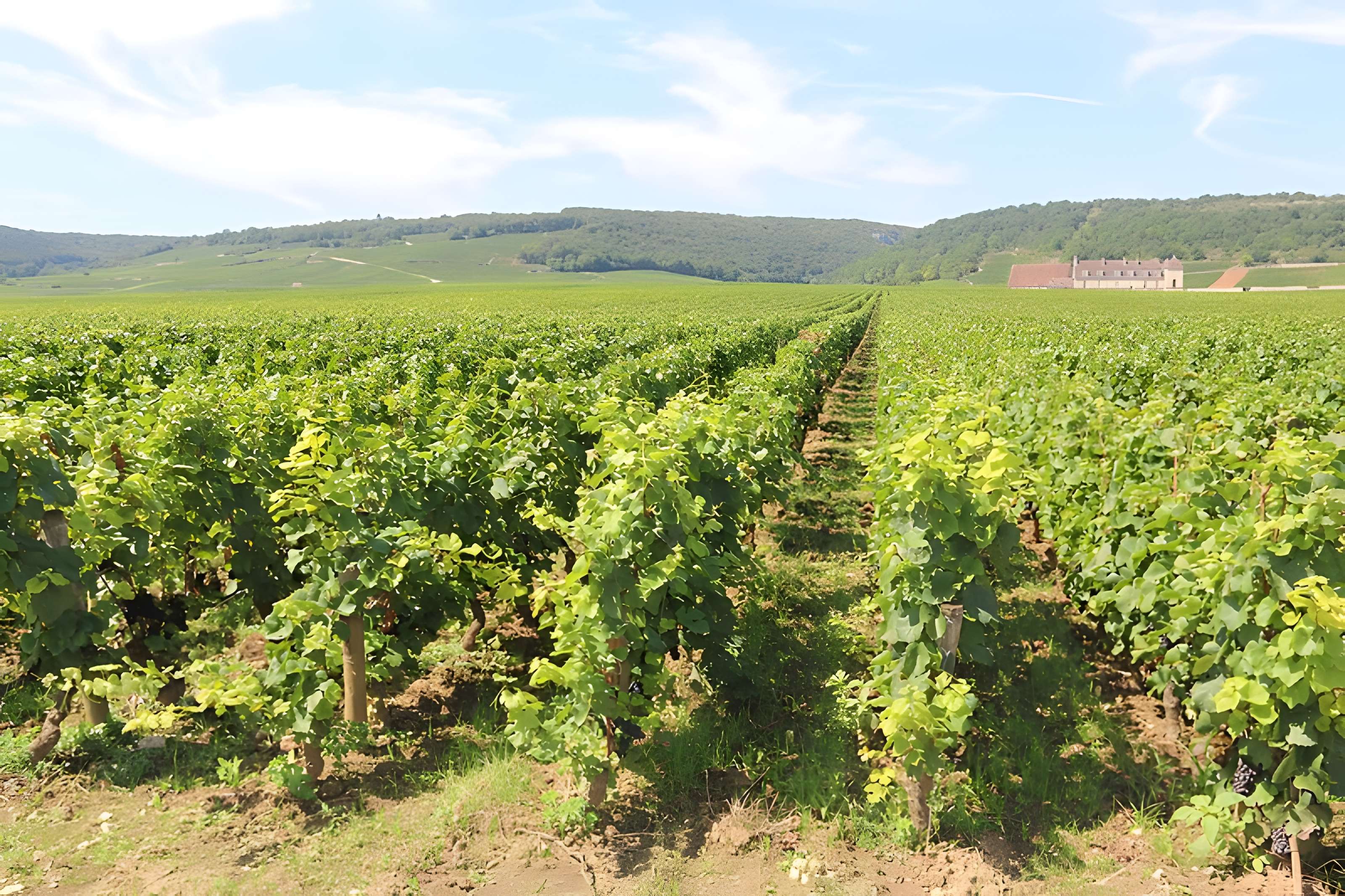 Château du Clos de Vougeot