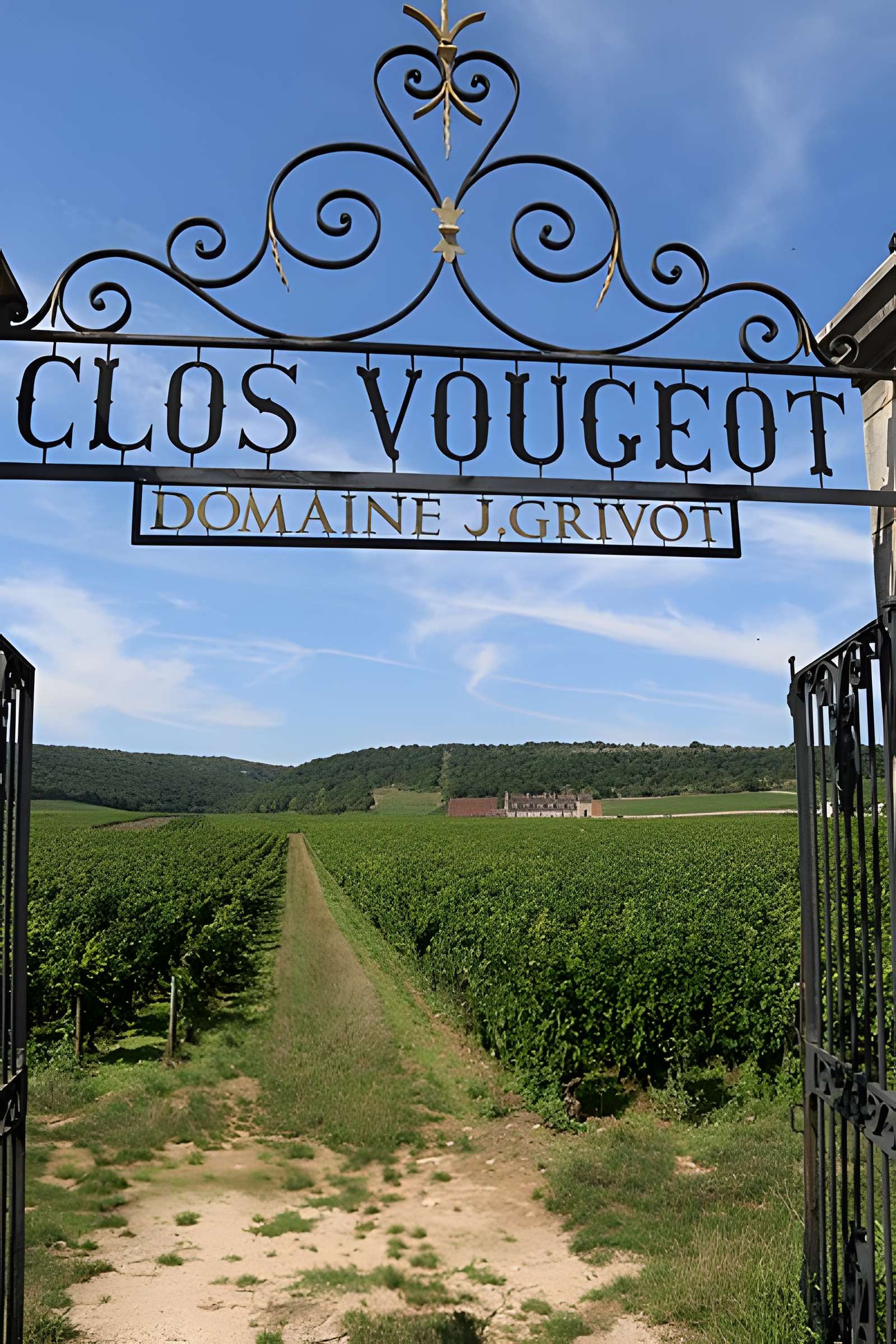 Château du Clos de Vougeot