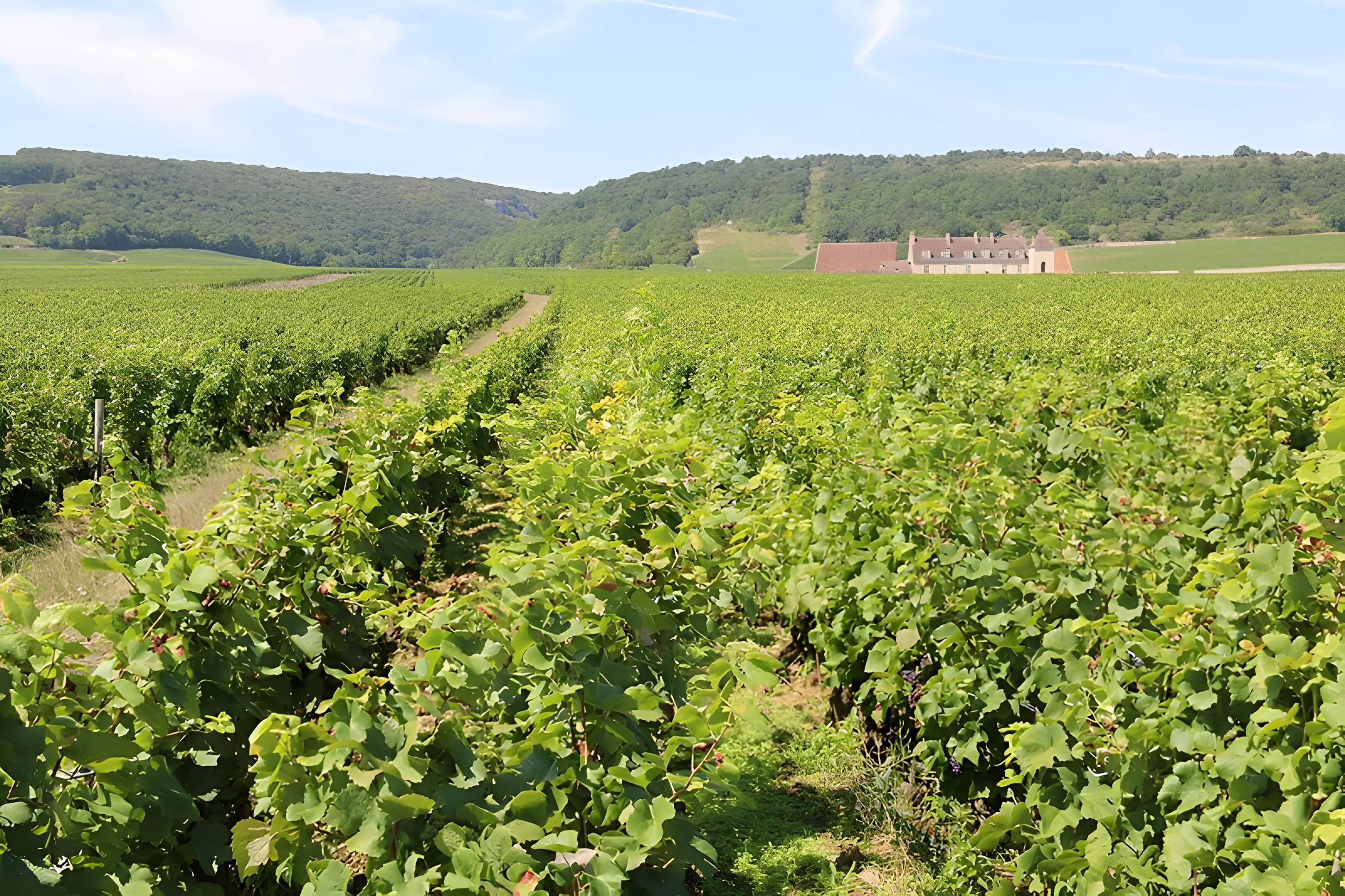 Château du Clos de Vougeot