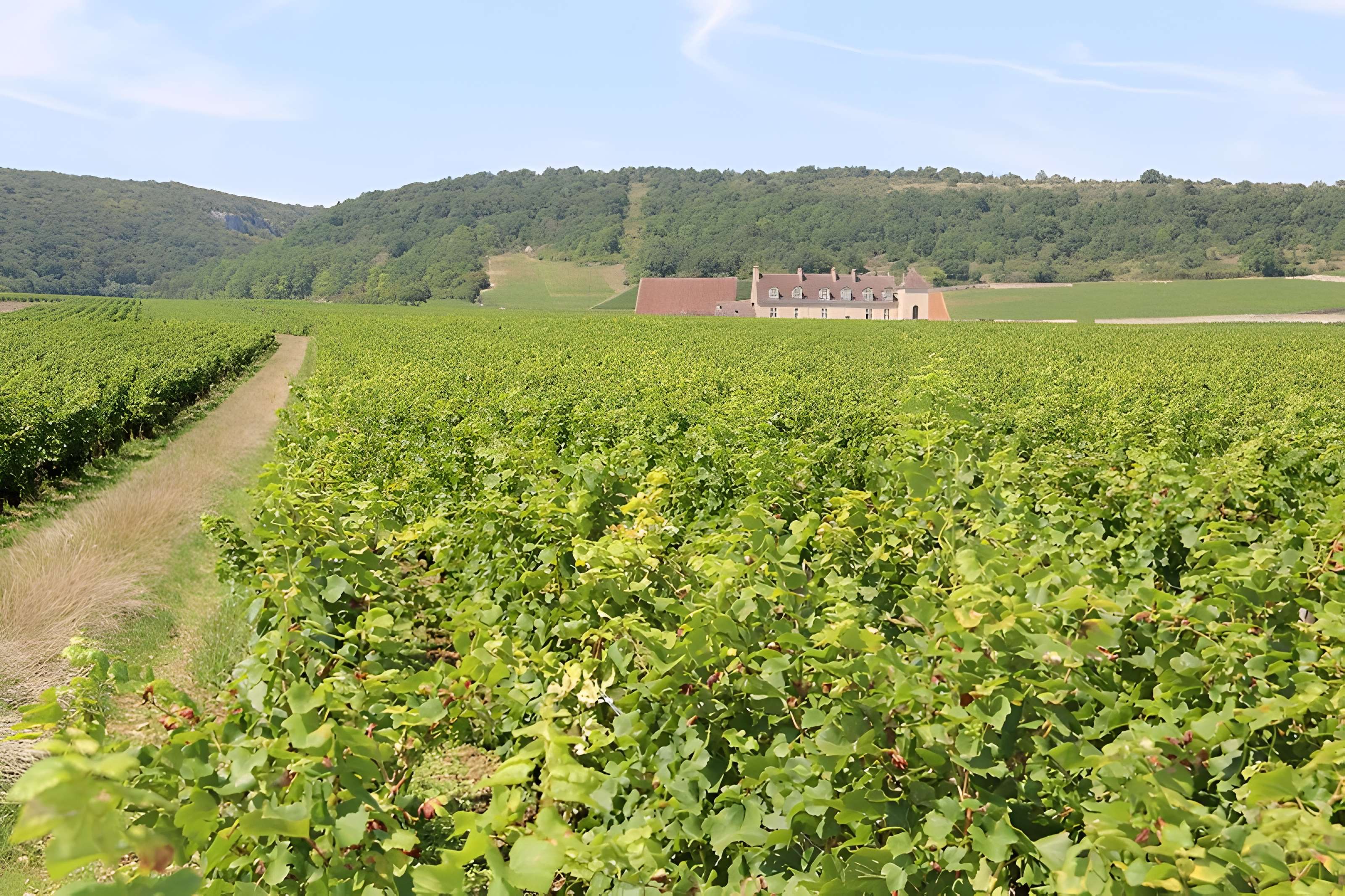 Château du Clos de Vougeot