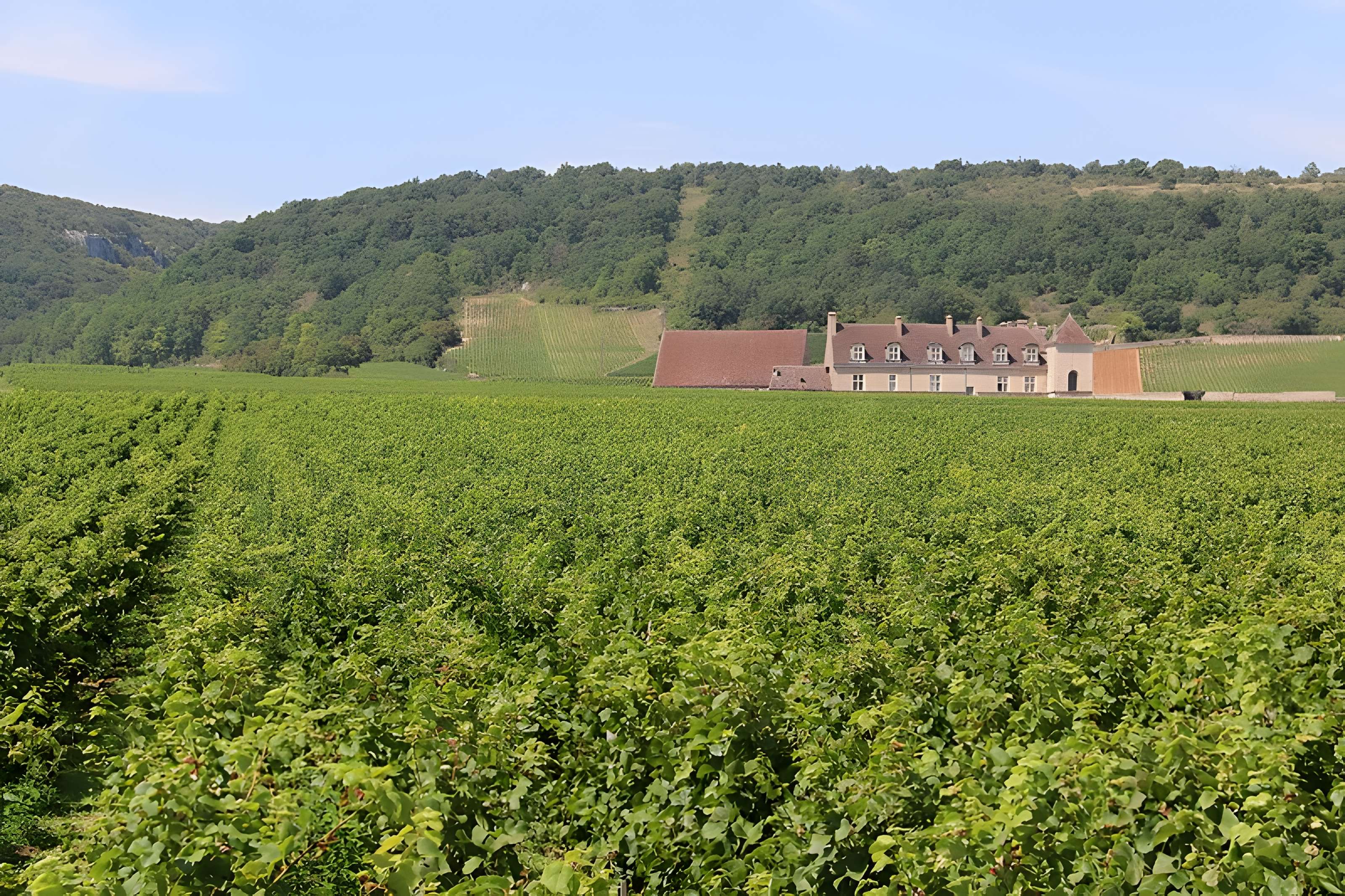 Château du Clos de Vougeot
