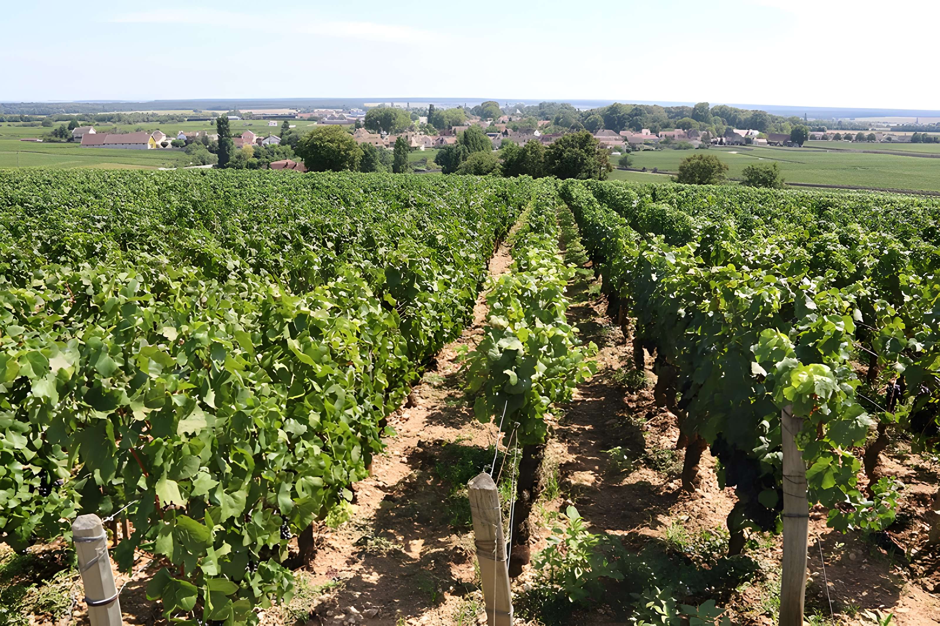 Château du Clos de Vougeot