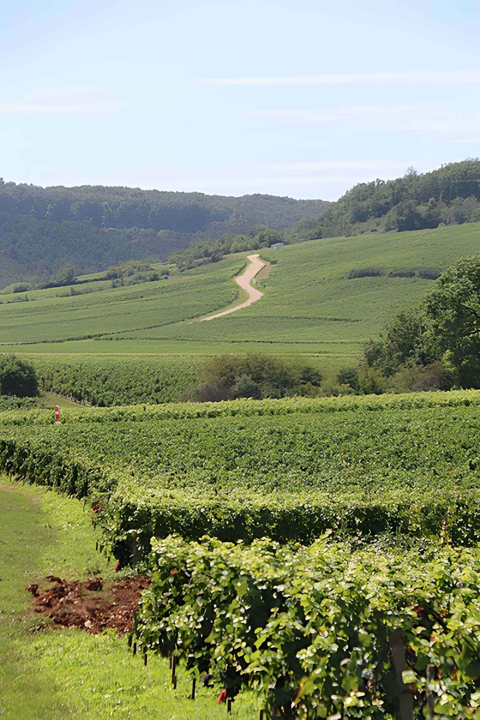 Château du Clos de Vougeot