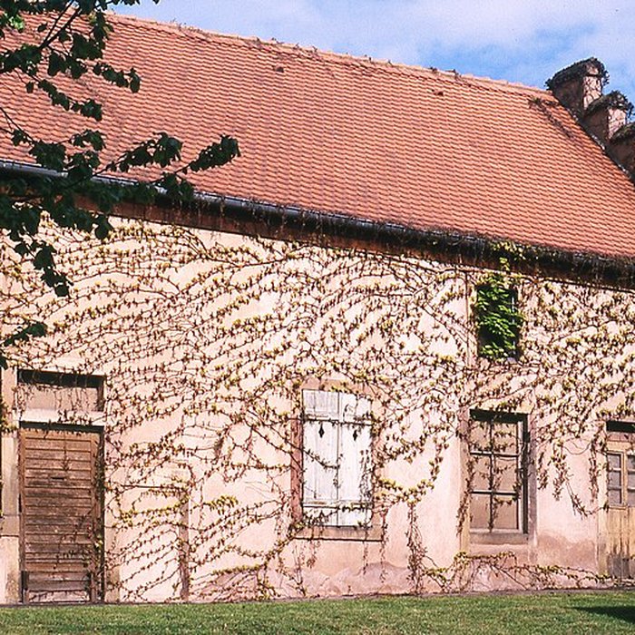 Photo de Prieuré de la Chartreuse de Molsheim