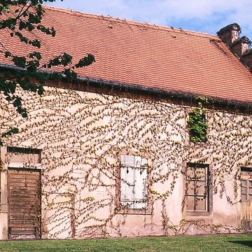 Prieuré de la Chartreuse de Molsheim