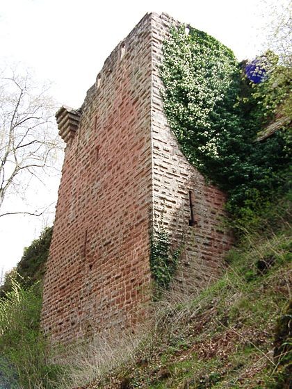 Photo de Château du Falkenstein